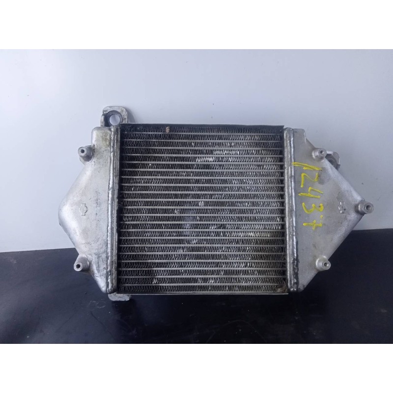 Recambio de intercooler para nissan terrano/terrano.ii (r20) se (5-ptas.) referencia OEM IAM ETP8625 351901 