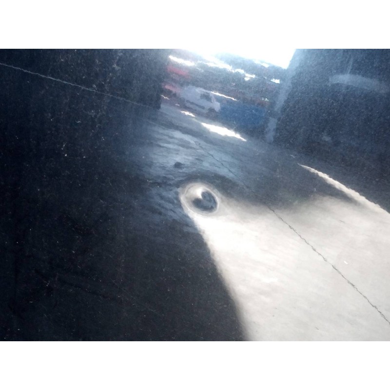 Recambio de puerta delantera derecha para renault scenic iii 1.9 dci diesel fap referencia OEM IAM   