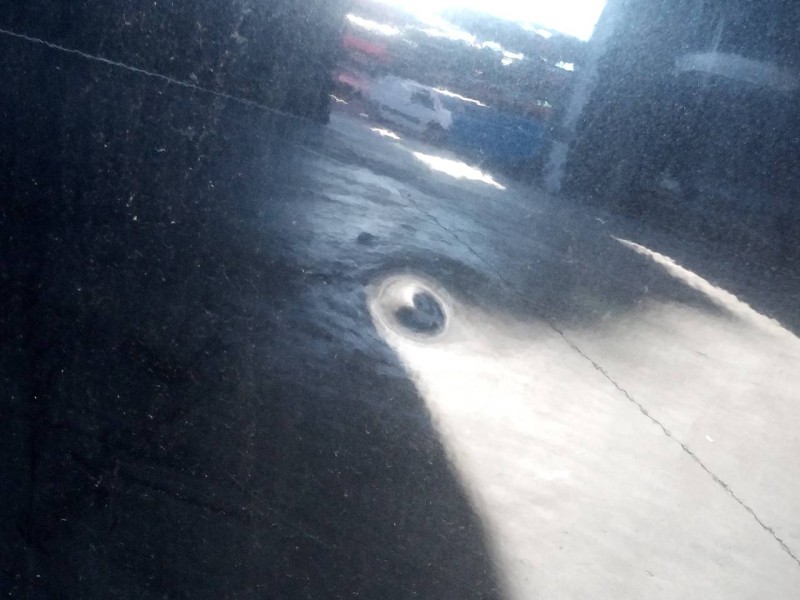 Recambio de puerta delantera derecha para renault scenic iii 1.9 dci diesel fap referencia OEM IAM   