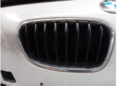 REJILLA DELANTERA 
