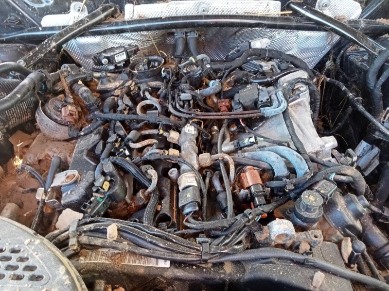 Recambio de motor completo para audi q5 (fyb) tdi quattro referencia OEM IAM DETB  