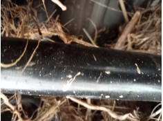 TRANSMISION TRASERA DERECHA 