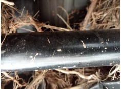 TRANSMISION TRASERA IZQUIERDA 