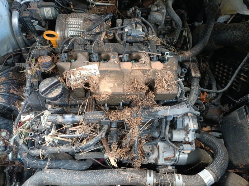 kia sportage del año 2020