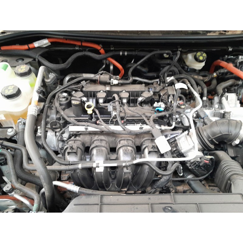 ford kuga del año 2019