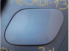 TAPA EXTERIOR COMBUSTIBLE 