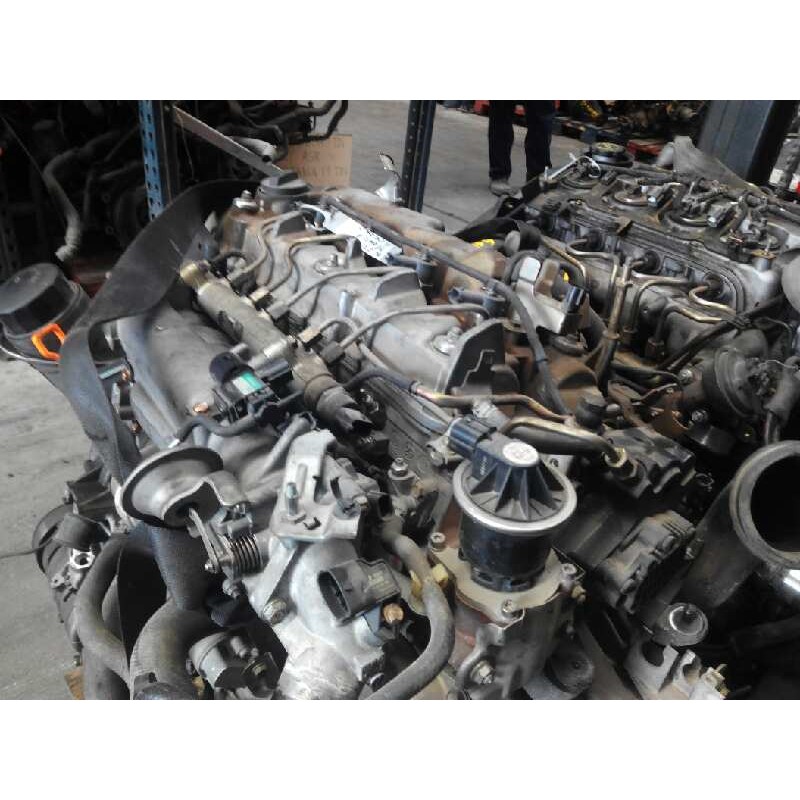 Recambio de amortiguador delantero izquierdo para audi a3 (8l) 1.6 referencia OEM IAM N22A1  