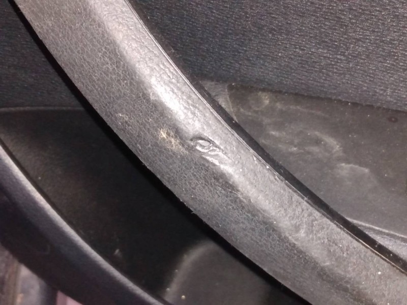 Recambio de guarnecido puerta trasera derecha para bmw x1 (e84) sdrive 18d referencia OEM IAM   