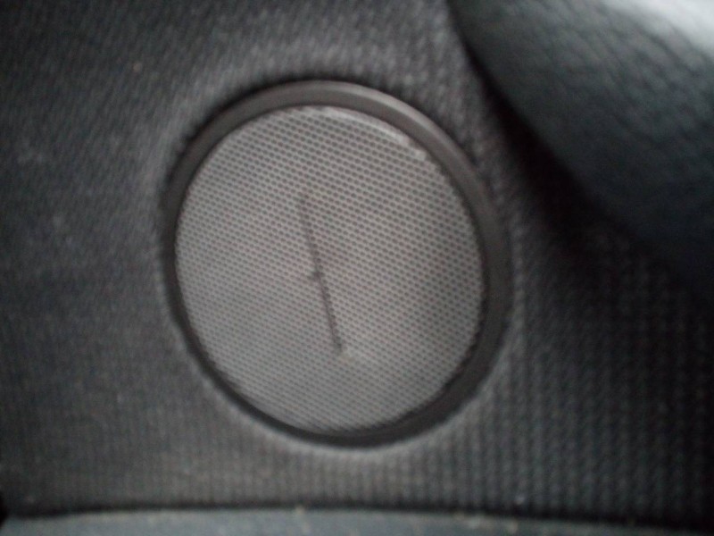 Recambio de guarnecido puerta trasera derecha para bmw x6 (e71) 3.5i referencia OEM IAM   