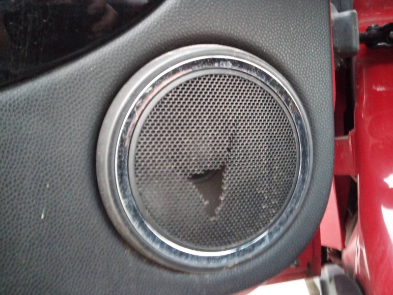 Recambio de guarnecido puerta delantera izquierda para bmw mini (r56) cooper s referencia OEM IAM   