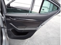 GUARNECIDO PUERTA TRASERA DERECHA 