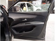 GUARNECIDO PUERTA DELANTERA DERECHA 