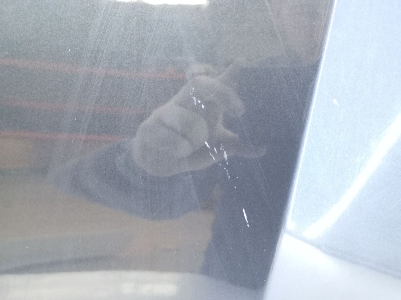 Recambio de capot para bmw x6 g06 f96 xdrive 30d referencia OEM IAM   