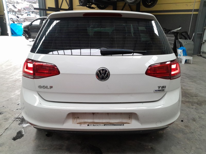 volkswagen golf vii (5g1, bq1, be1, be2) del año 2016