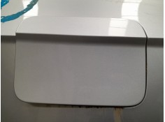 TAPA EXTERIOR COMBUSTIBLE 