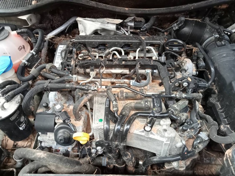 volkswagen scirocco (138) del año 2016