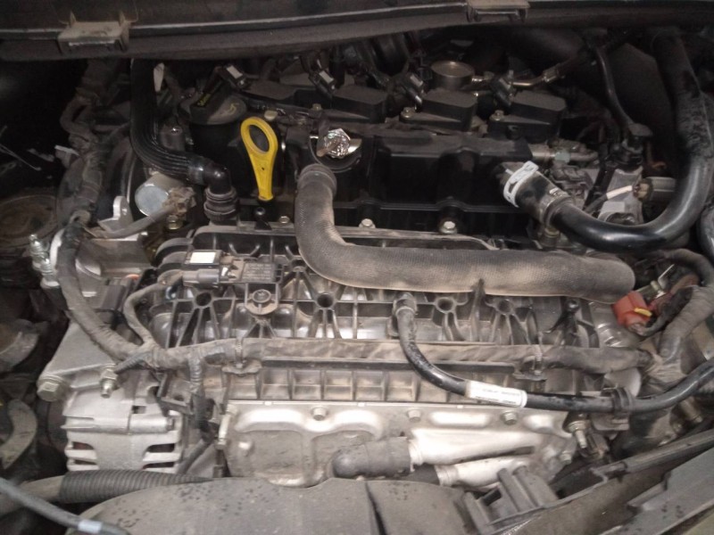 ford kuga (cbs) del año 2018