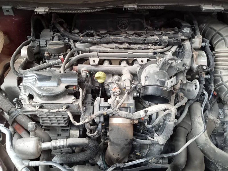 ford kuga (cbs) del año 2016