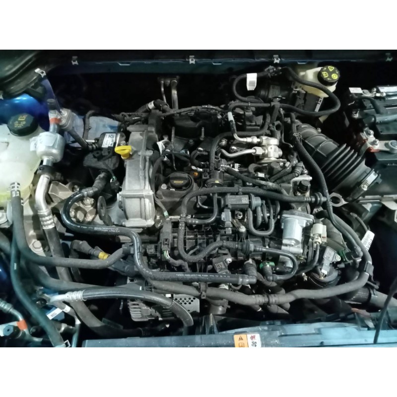 ford focus del año 2022