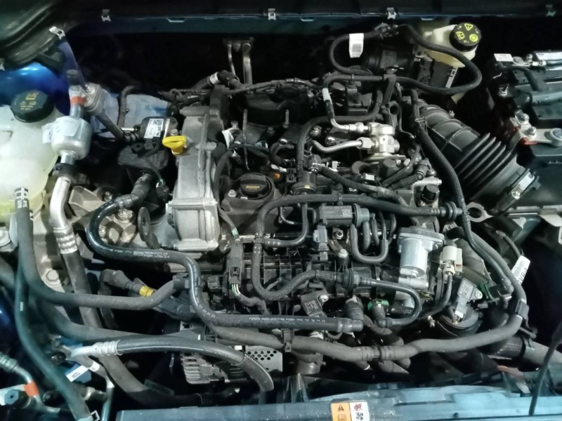 ford focus del año 2022