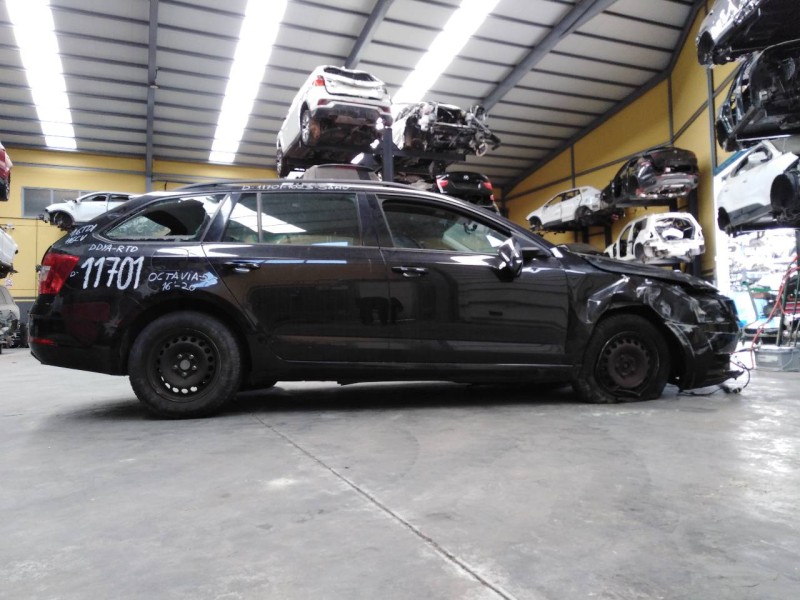 skoda octavia lim. (5e3) del año 2018