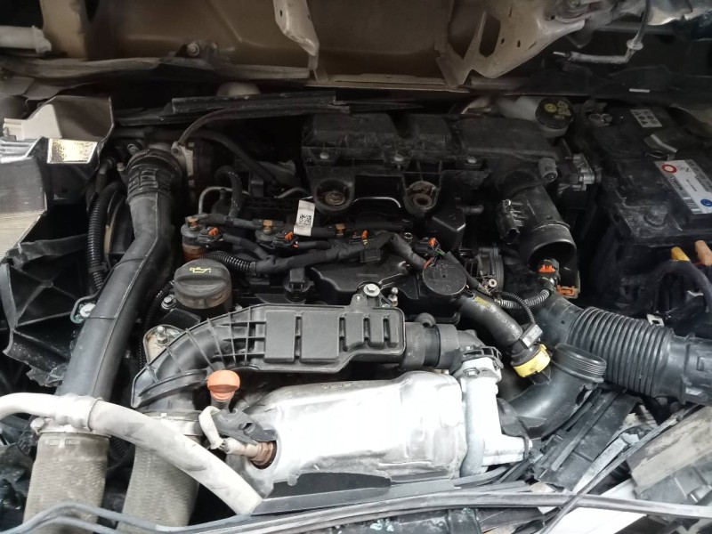 citroën berlingo del año 2019