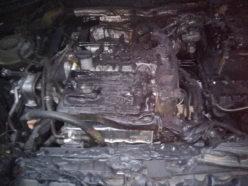 skoda kodiaq del año 2016