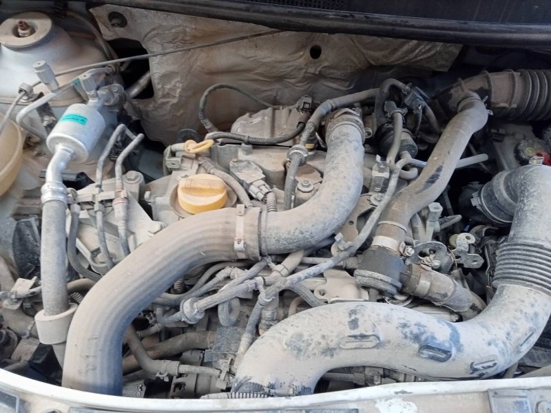 dacia sandero del año 2019