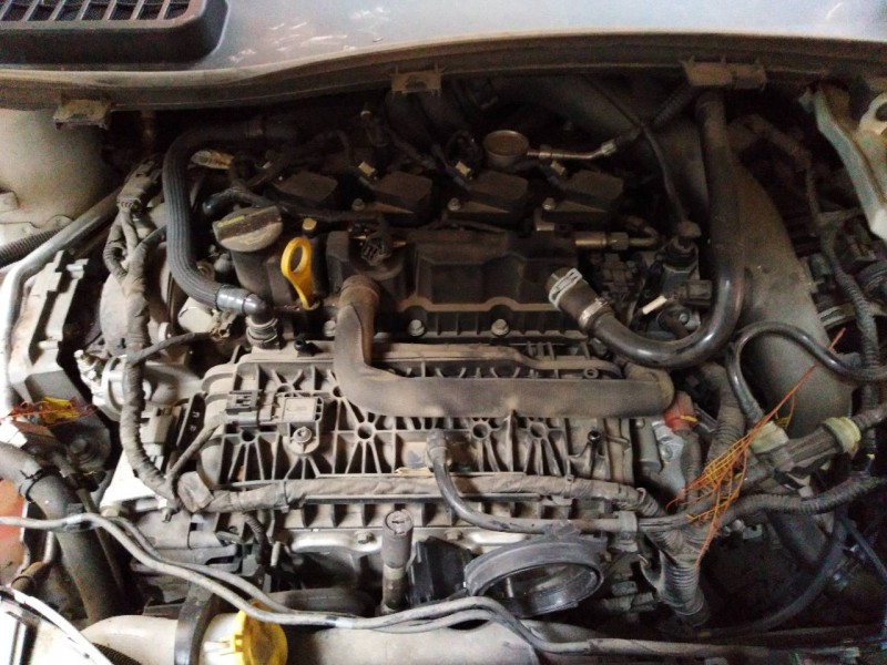 ford kuga (cbs) del año 2016