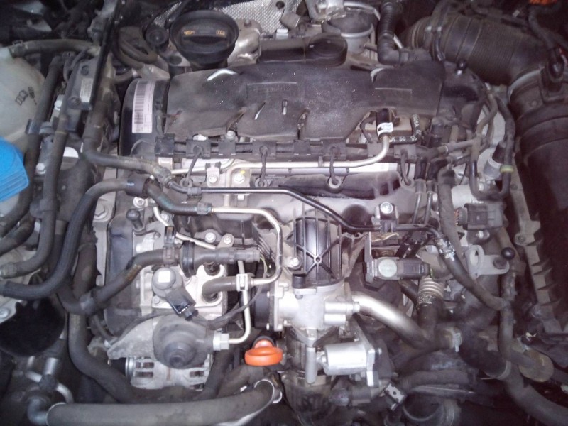 volkswagen golf vi (5k1) del año 2008