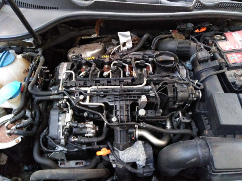 volkswagen golf vi (5k1) del año 2010