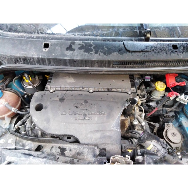 ford ka (ccu) del año 2010