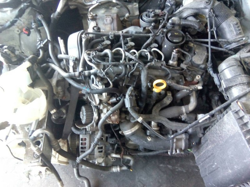 volkswagen polo (6c1) del año 2016