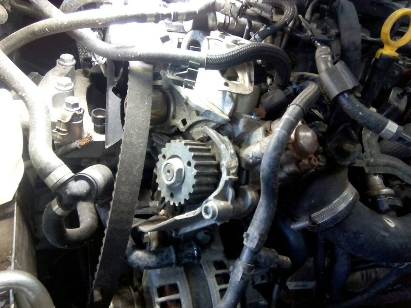 volkswagen polo (6c1) del año 2016