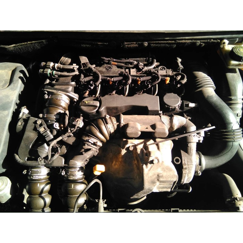 peugeot 307 break / sw (s1) del año 2008