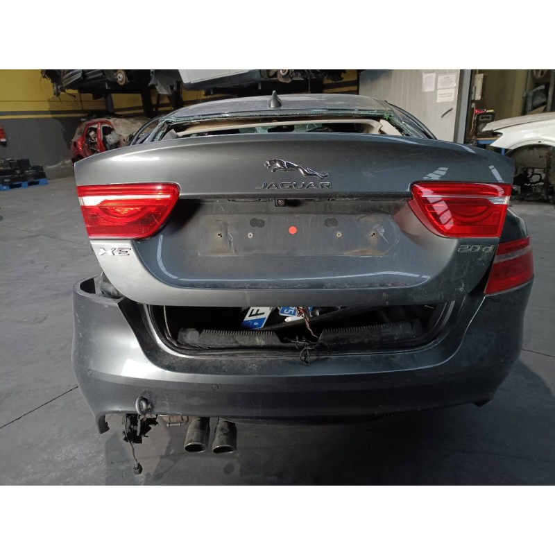 jaguar xe del año 2019