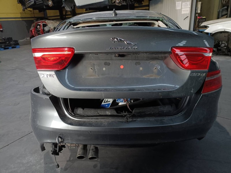 jaguar xe del año 2019