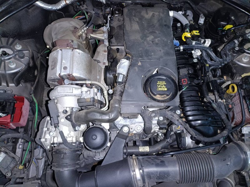 jaguar xe del año 2019