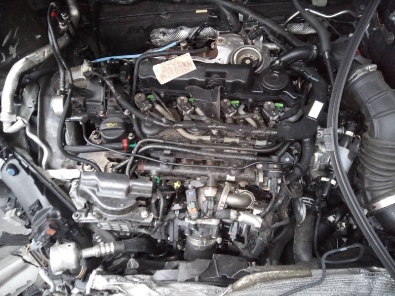 ford focus lim. del año 2015