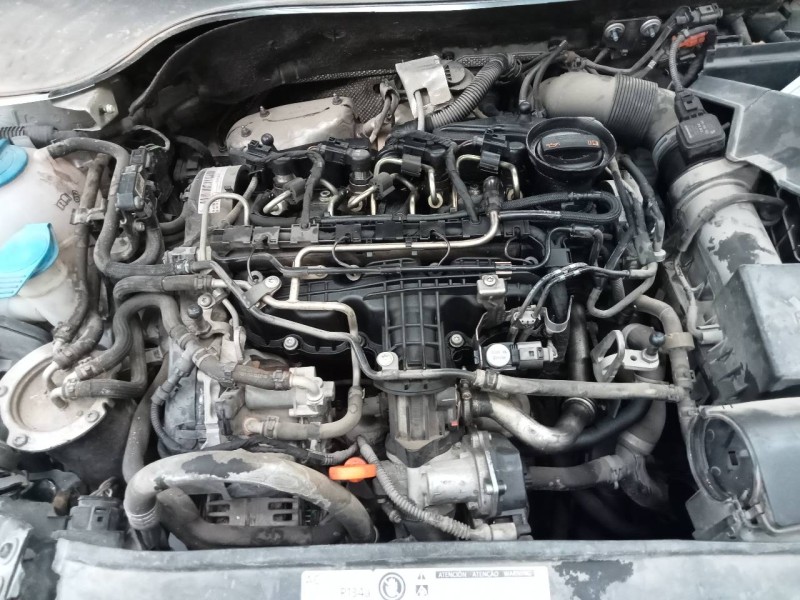 volkswagen golf vi (5k1) del año 2011