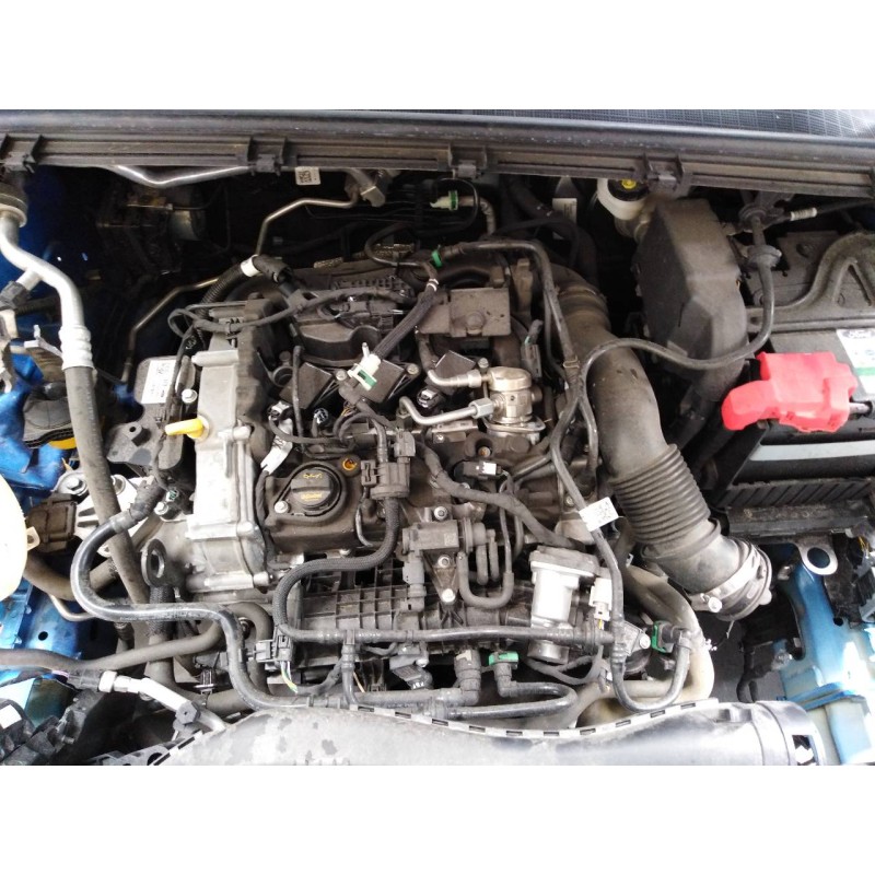 ford puma del año 2022