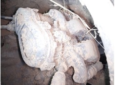 PINZA FRENO TRASERA DERECHA 