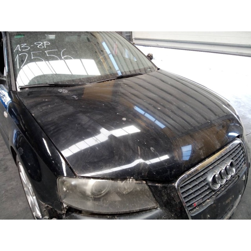 Recambio de capot para audi a3 (8p) 2.0 tdi ambition (dpf) (125kw) referencia OEM IAM   