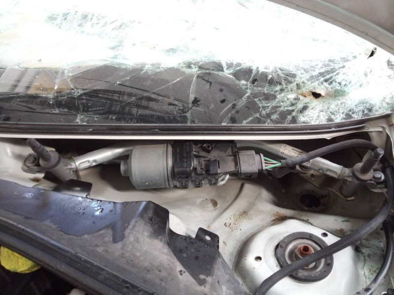 Recambio de motor limpia delantero para citroën c3 live referencia OEM IAM 0390241589  