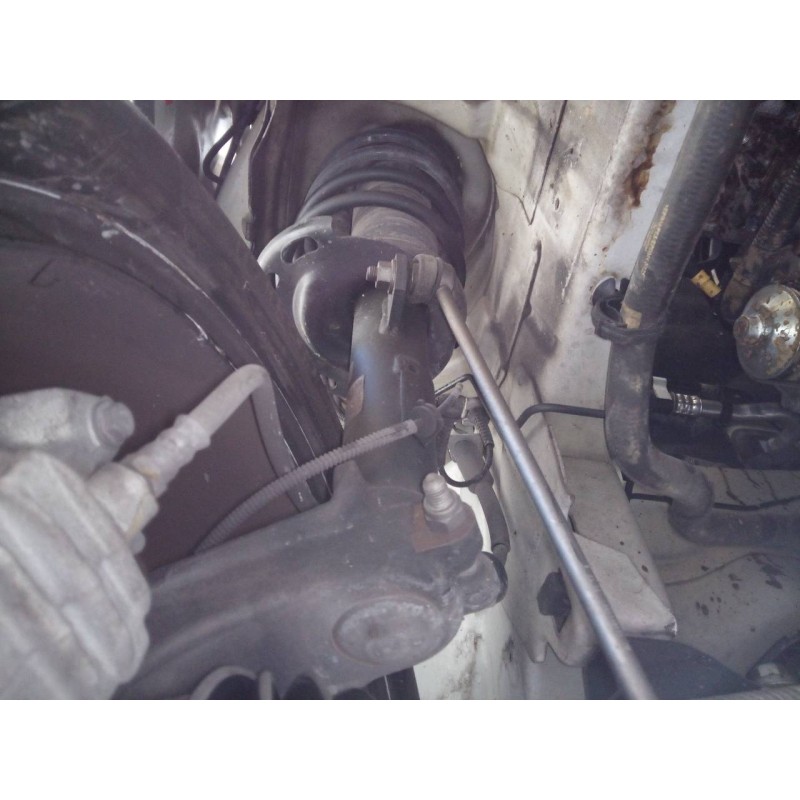 Recambio de amortiguador delantero derecho para citroën c3 live referencia OEM IAM   