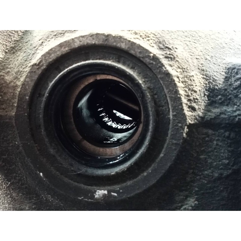 Recambio de diferencial trasero para ford kuga (cbv) titanium referencia OEM IAM 6530110190  P1-B6-15