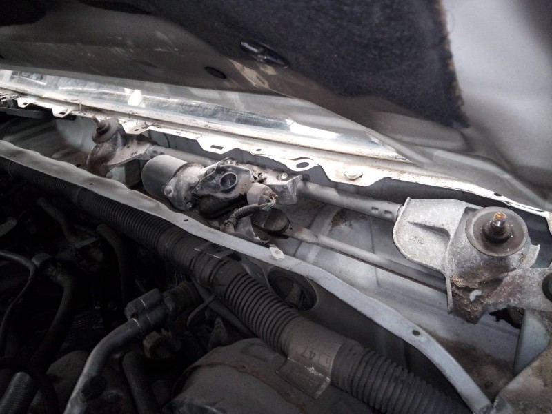 Recambio de motor limpia delantero para nissan pathfinder (r51) 2.5 dci xe referencia OEM IAM   