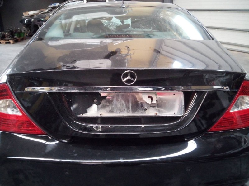 Recambio de porton trasero para mercedes-benz clase cls (w219) 350 (219.356) referencia OEM IAM   