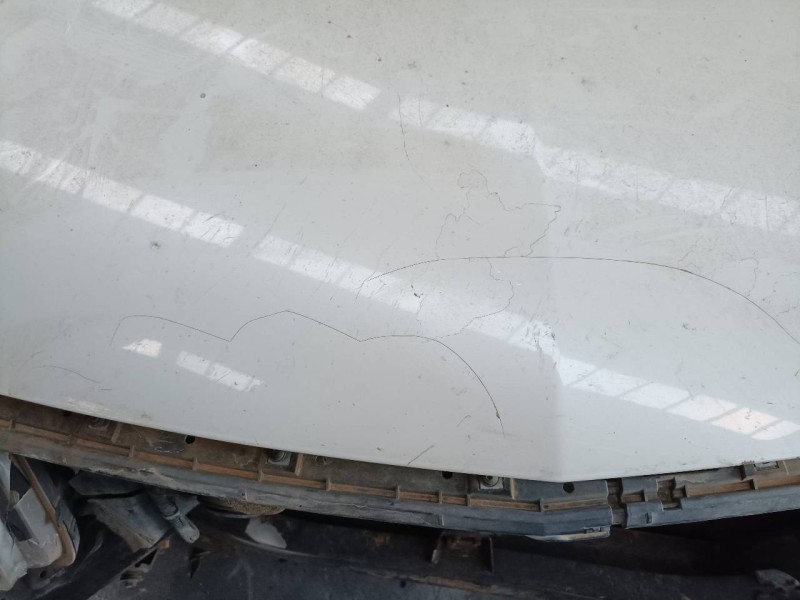 Recambio de capot para renault koleos expression referencia OEM IAM   