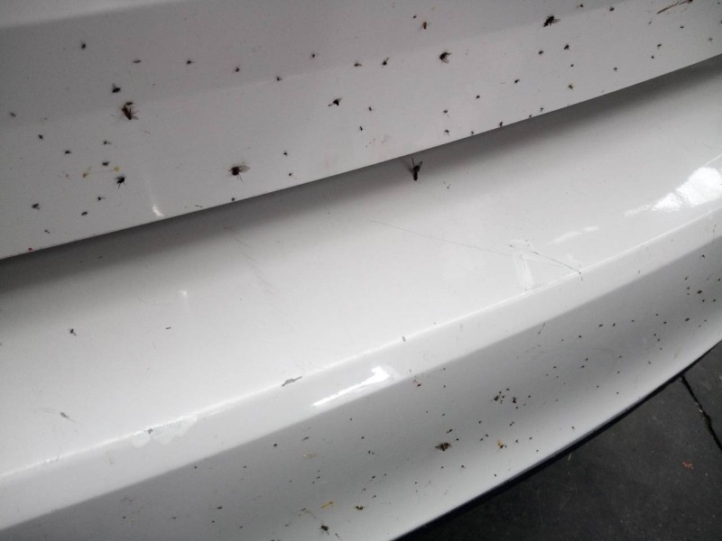 Recambio de paragolpes trasero para skoda rapid active referencia OEM IAM   